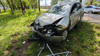 В Нижнем Мамоне женщина на Renault Logan объезжала собаку и разбила свой автомобиль