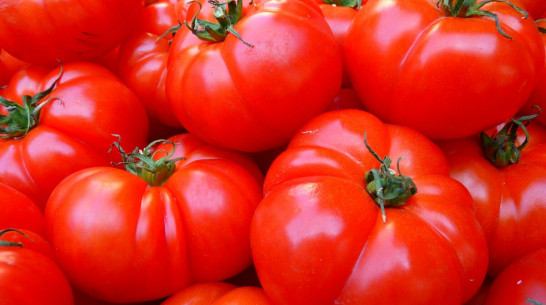 В Воронежской области продолжают дорожать помидоры