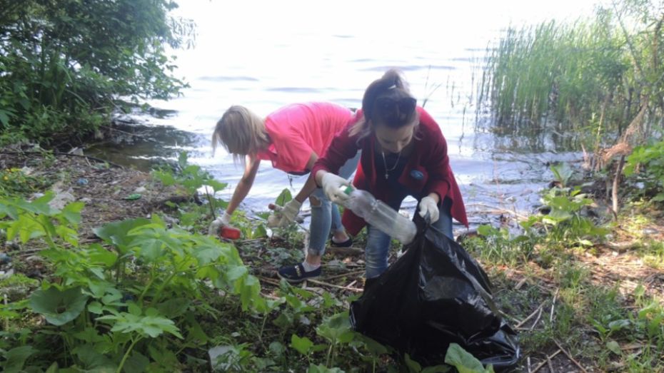 Воронежцы собрали 230 мешков мусора с берега водохранилища