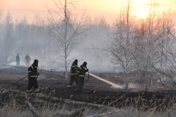 Горячий вторник. Спасатели остановили огонь на окраине Воронежа