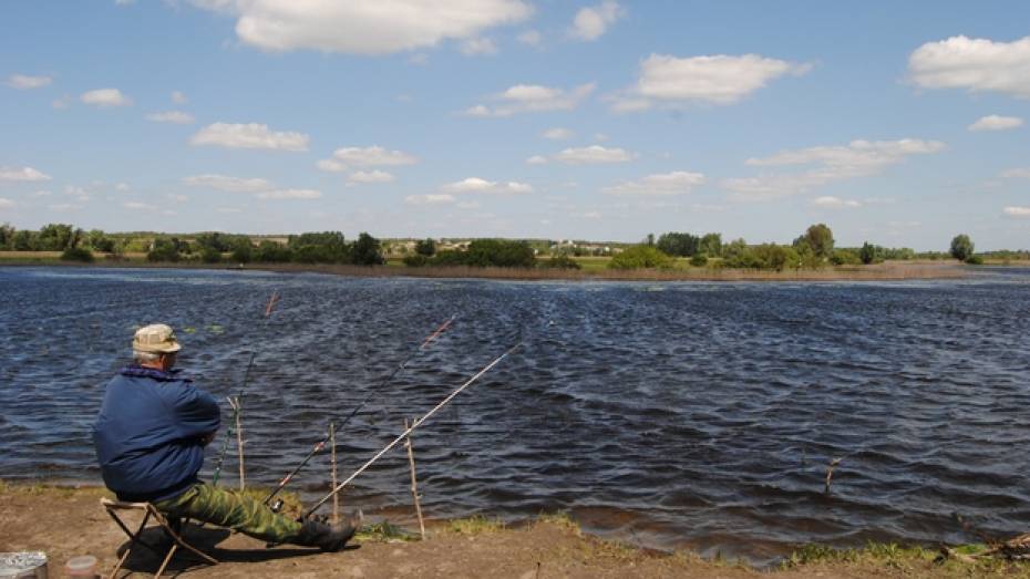 19-летний житель Петропавловского района похитил 6 килограммов прудовой рыбы