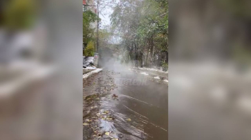 Поток кипятка на улице Хользунова в Воронеже сняли на видео