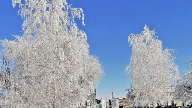 Россиян предупредили об аномальных мартовских морозах