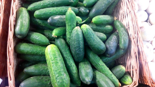 В Воронеже продолжили дорожать овощи