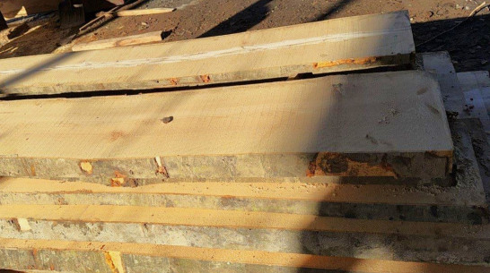На воронежца завели 5 уголовных дел за контрабанду древесины в Среднюю Азию
