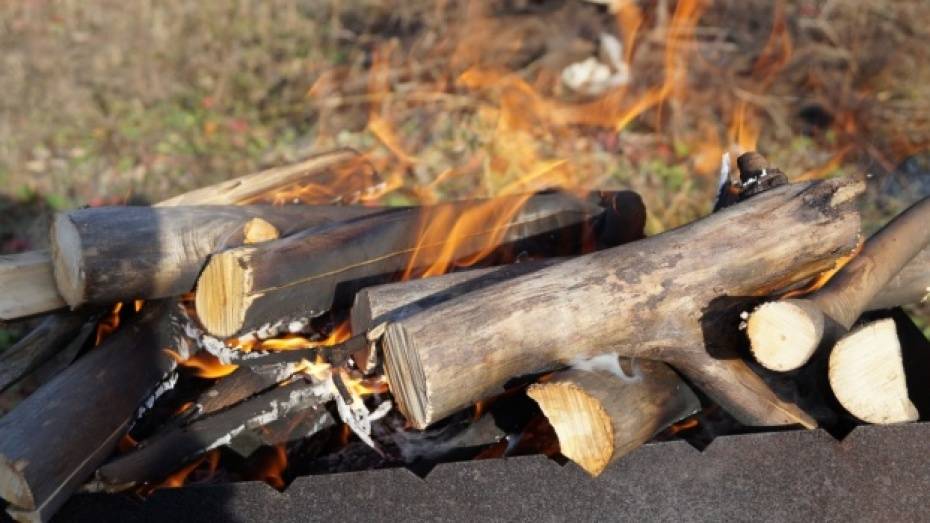 Спасатели из-за жары усилят контроль за отдыхающими на природе воронежцами 