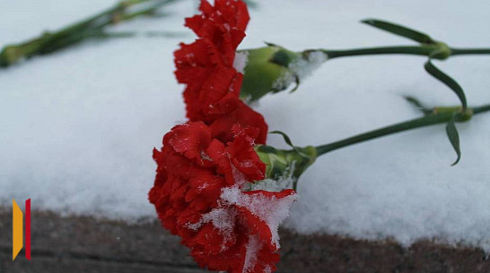 Поисковики объявили розыск родственников красноармейца из Грибановского района Ивана Белькова