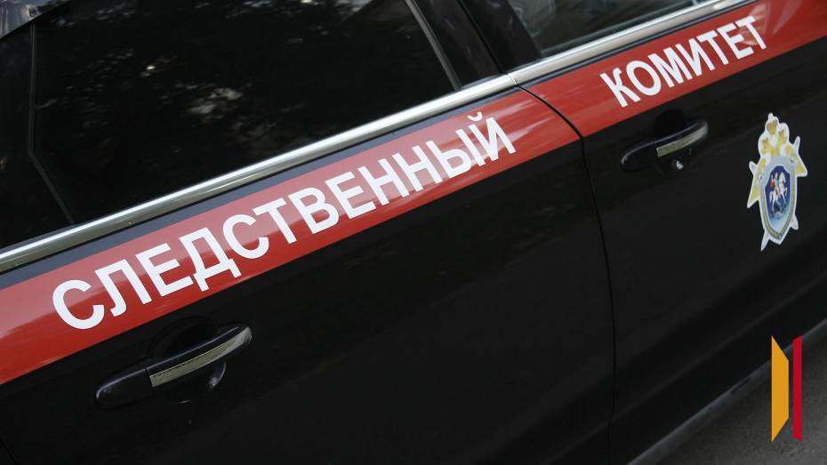 Александр Бастрыкин потребовал доклад о разрушающемся мосте на хуторе под Воронежем