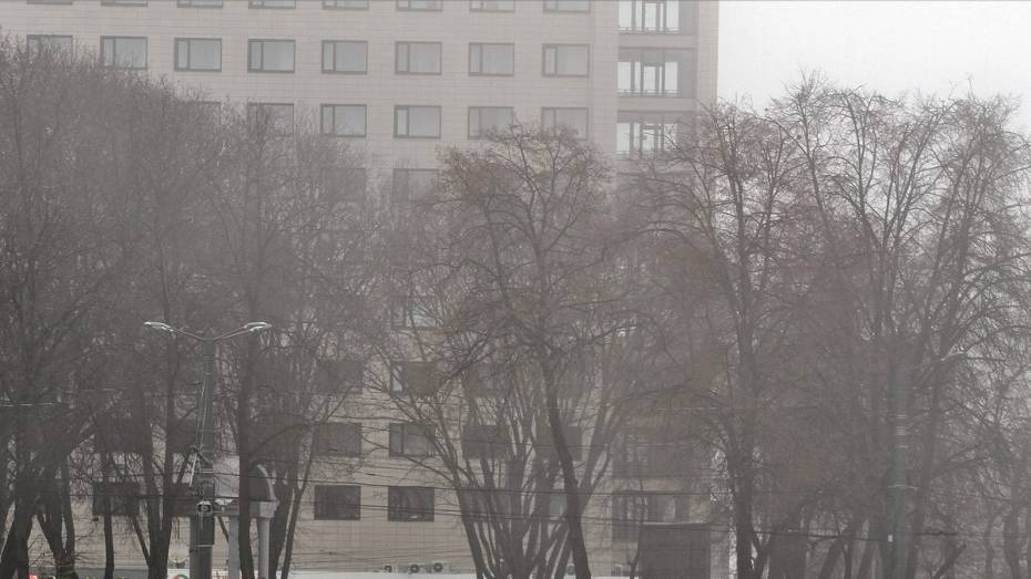 Туман и гололед вновь спрогнозировали в Воронежской области