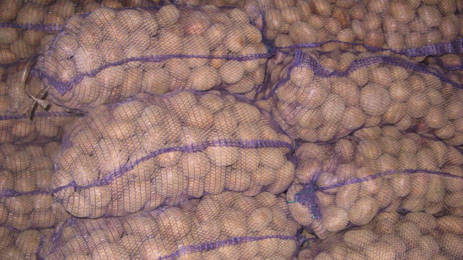 В Воронежской области запретили импортную картошку