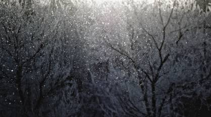 Воронежцев предупредили о сильном мокром снеге и метели