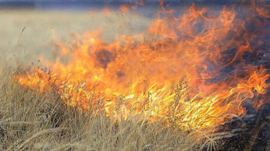 В Семилукском районе произошло 100 ландшафтных пожаров в период с 7 по 17 апреля