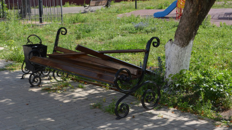 В Воробьевке хулиганы сломали 8 скамеек в парке «Кольцовский»
