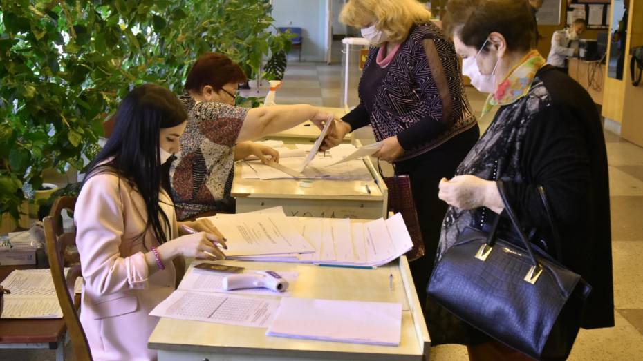 В Общественной палате РФ высоко оценили явку на выборы в Воронежской области