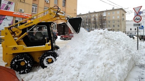 Уборка дворов Воронежа от снега не удовлетворила исполняющего обязанности мэра