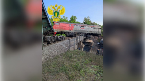 Причиной обрушения мостов в Курской и Брянской областях стал подрыв