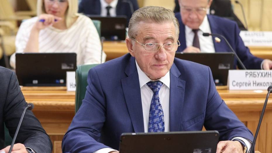 Воронежский сенатор: Совфед обозначил приоритеты повышения эффективности муниципального управления