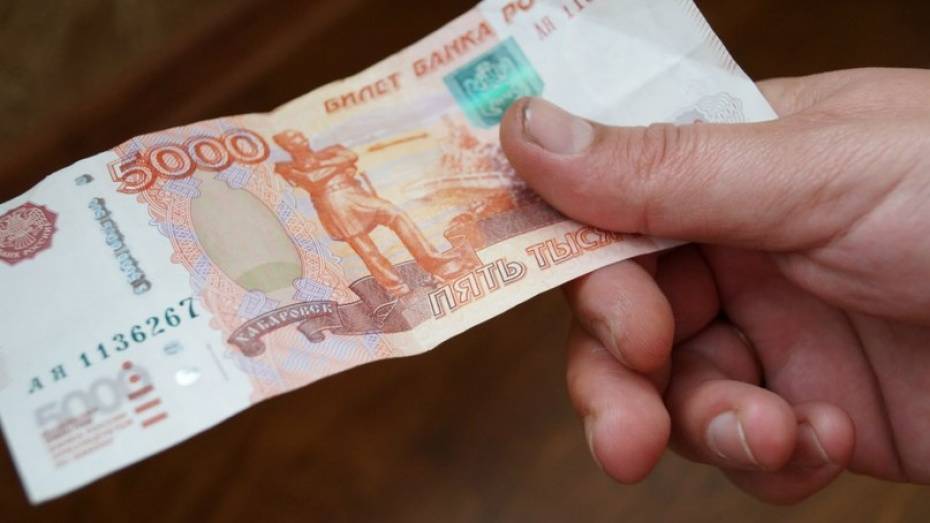 Безработный россошанец обманул автолюбителя на 5 тыс рублей