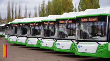 В Воронеже маршруты №23 и №24 будут обслуживать автобусы большого класса