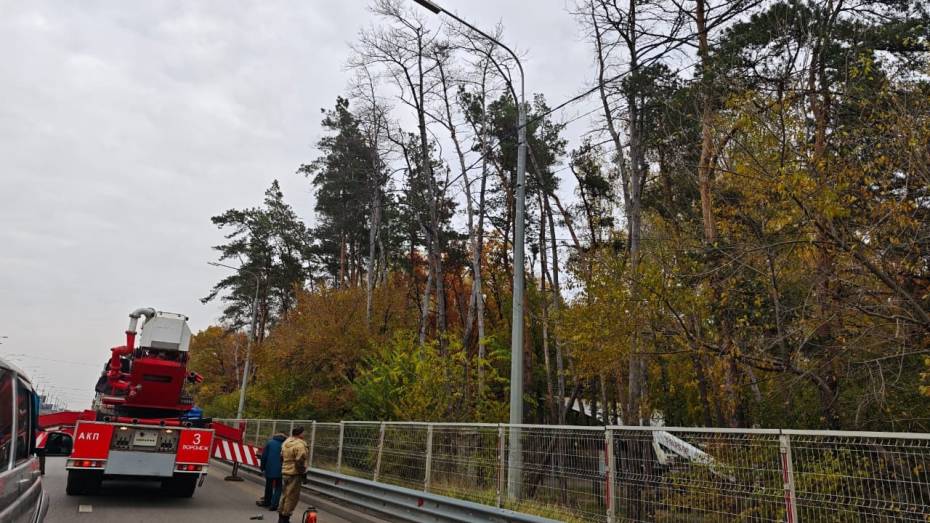 Воронежцев предупредили об ограничении движения автомобилей в районе спорткомплекса «Олимпик»