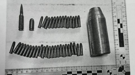 Воронежец нашел в лесу патроны и хранил их в старом портфеле