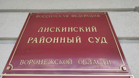 Жителя Воронежской области отправили на 10 месяцев в исправительный центр за дискредитацию ВС РФ