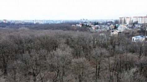 Воронежские власти выступили против застройки  участка рядом с парком «Динамо»
