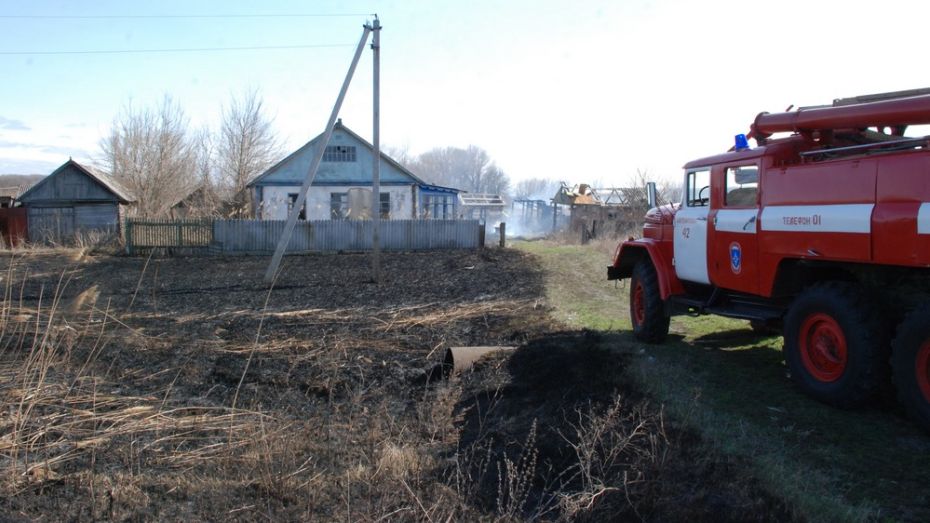 Кантемировский район очистят от камыша