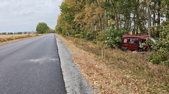 Под Воронежем «Газель» врезалась в дерево: пострадали 4 человека