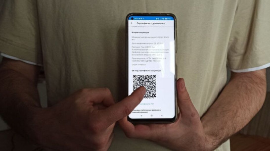 Губернатор Воронежской области подписал указ о расширении сферы применения QR-кодов