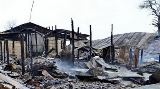 В Каширском районе при пожаре сгорели 3 коровы и 2 теленка