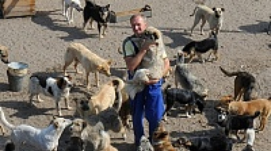 Воронежский зоозащитник и его слепой щенок пройдут 500 км ради бездомных собак