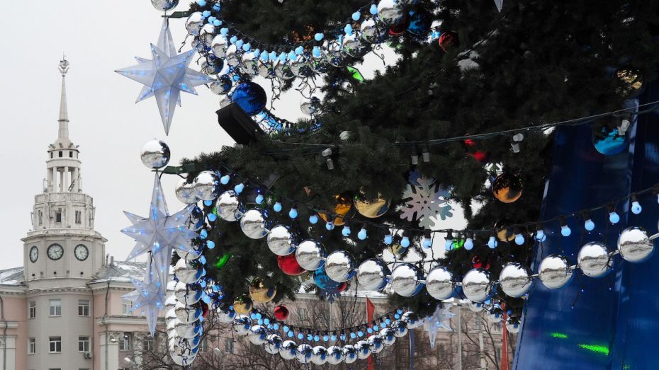 Власти Воронежа назвали время открытия главной городской елки 