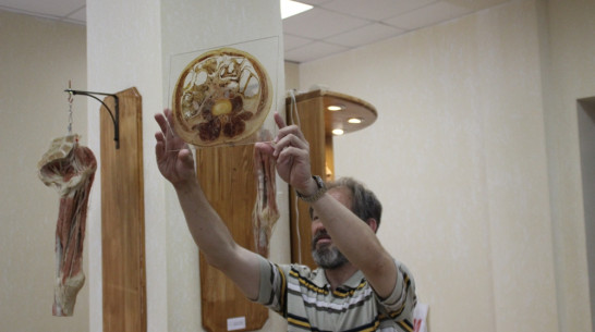 Воронежский анатомический музей разрешит посетителям прикоснуться к экспонатам