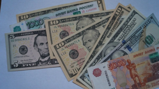 Большинство воронежцев остались равнодушными к антироссийским санкциям