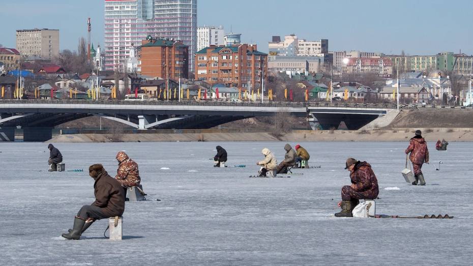 В Воронежской области ввели ограничения на ловлю 16 видов рыб 