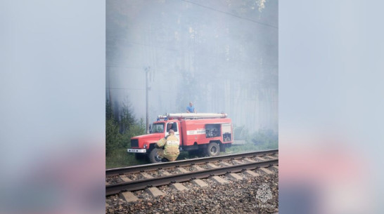Спасатели вторые сутки тушат крупный пожар в Воронежском биосферном заповеднике
