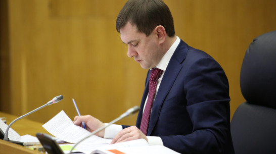 Депутаты скорректировали бюджет Воронежской области на 2019 год