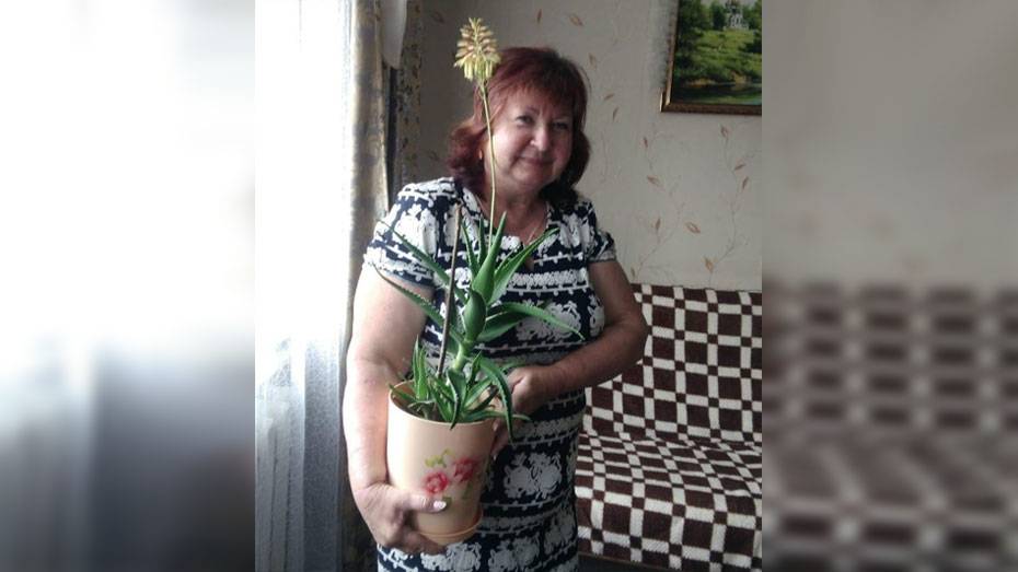 У жительницы Семилукского района впервые зацвел алоэ