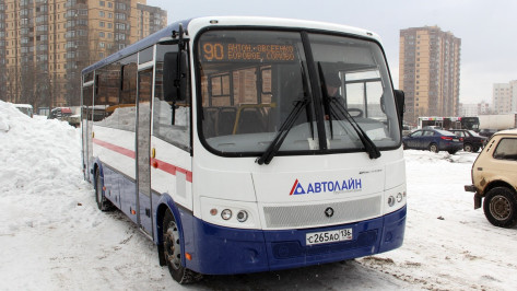Число «ПАЗов» на маршруте №90 в Воронеже увеличилось до четырех