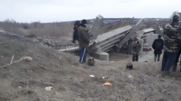 МЧС: при обрушении моста в Воронежской области пострадали 6 человек