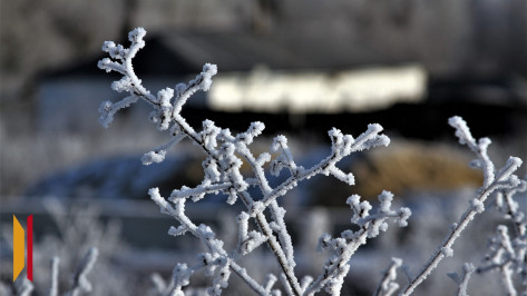 В Воронежской области резко похолодает до -16 градусов 24 декабря
