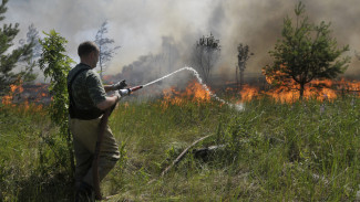 В Воронежской области за поджигателями проследят беспилотники