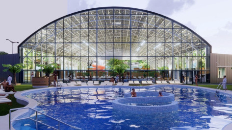 На Петровской набережной в Воронеже хотят построить аквапарк с бассейнами и банями