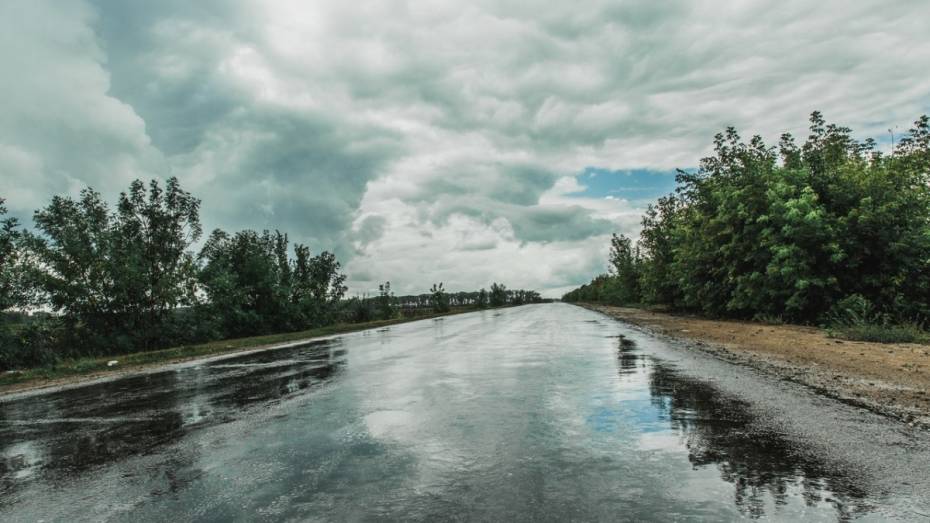 На выходных в Воронеж придут дожди с грозами