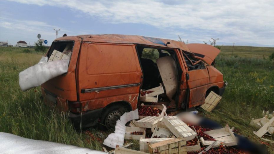 Водитель микроавтобуса Volkswagen погиб после опрокидывания в кювет в Воронежской области
