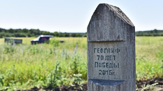 На бутурлиновском геоглифе «70 лет Победы» дубы дали самый большой прирост за 5 лет