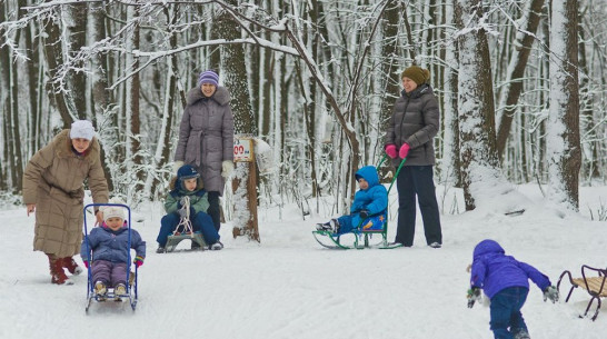 На выходных в Воронеже будет умеренный минус