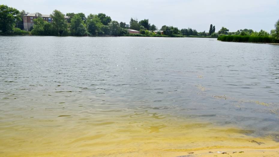 В Грибановке на пруду утонул 57-летний мужчина