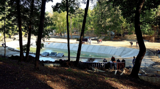 Воронежские строители обновят пруд в парке «Динамо» до холодов